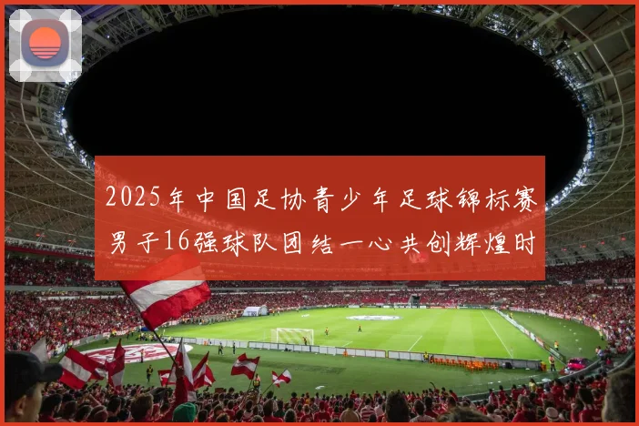 2025年中国足协青少年足球锦标赛男子16强球队团结一心共创辉煌时刻