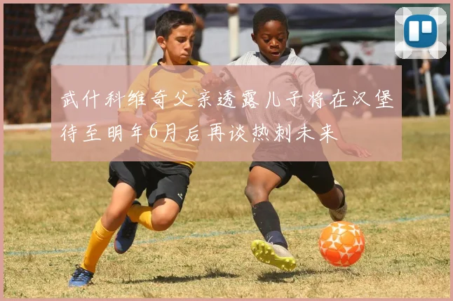 武什科维奇父亲透露儿子将在汉堡待至明年6月后再谈热刺未来
