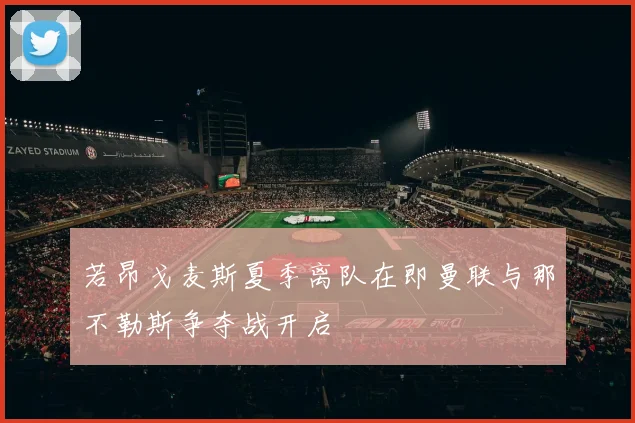 若昂戈麦斯夏季离队在即曼联与那不勒斯争夺战开启