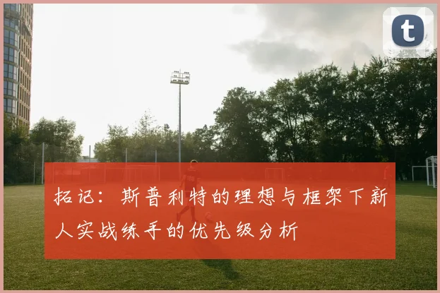 拓记：斯普利特的理想与框架下新人实战练手的优先级分析