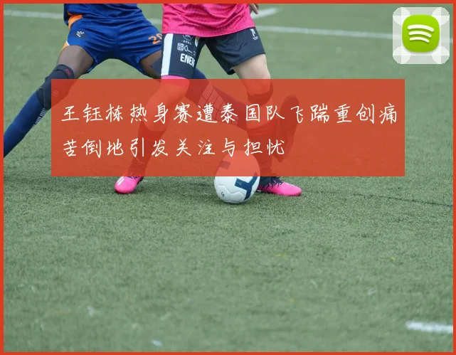 王钰栋热身赛遭泰国队飞踹重创痛苦倒地引发关注与担忧